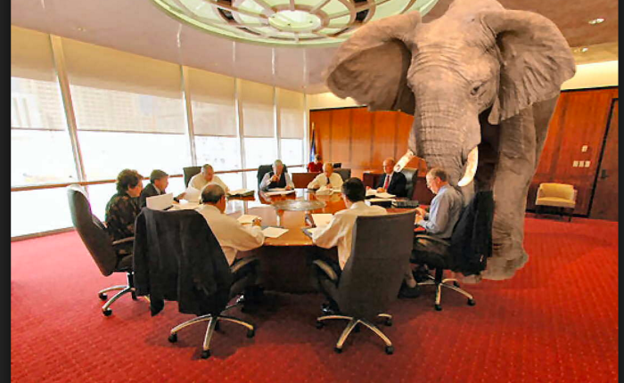The Elephant in the Room